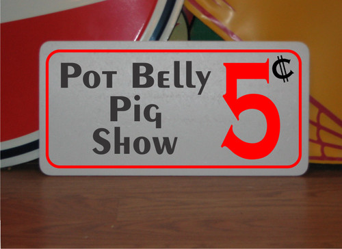 Pot belly pig - pot,
