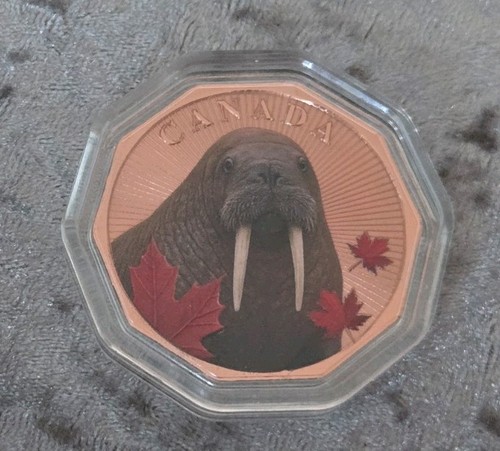 Colourised walrus 1oz copper - colourised,