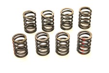 Set valve springs - set, for