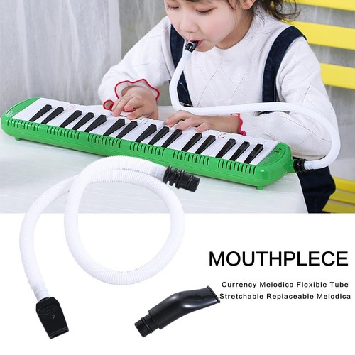 Currency melodica flexible - currency,