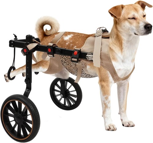 Pet rehabilitation walking aid - pet,