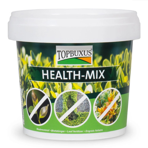 Topbuxus natural leaf - topbuxus,