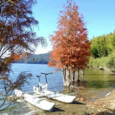 Water bike Pontoon Catamaran Paddle Pedal Boat Hydro Water Kayak SPorts Bicycle