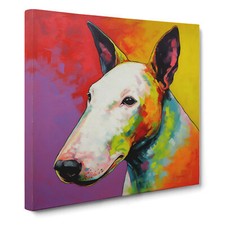 English Bull Terrier Color