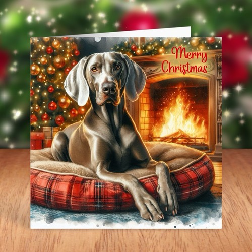 Weimaraner dog christmas - christmas, card