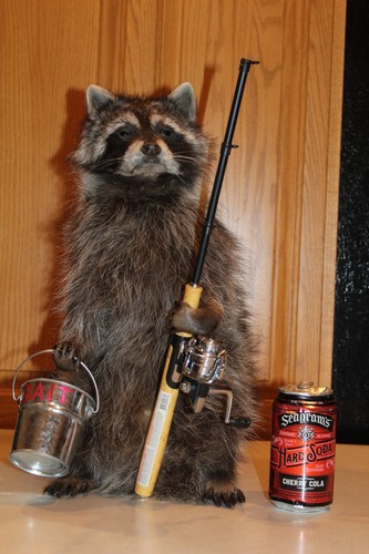 New fishing raccoon mount - raccoon,