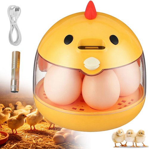 Eggs incubator small - 5,