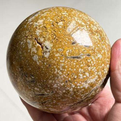 55lb natural ocean - natural,