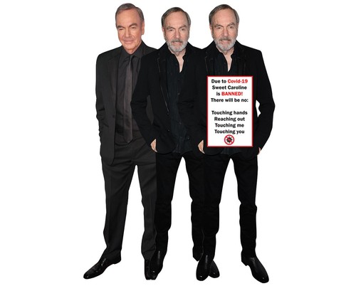 Neil diamond life size - diamond,