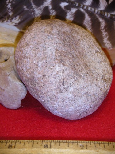 Rare cupped dimpled slant - rare, cupped/dimpled