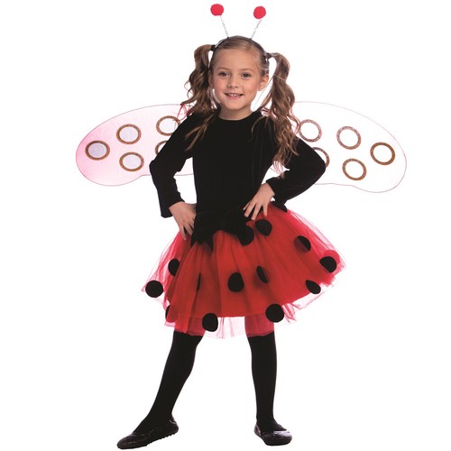 Dress america ladybug - america,