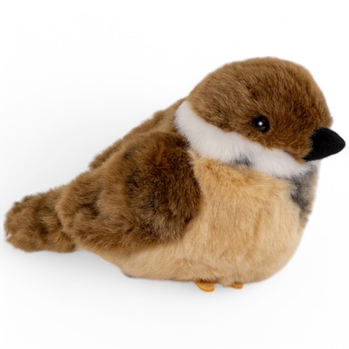 Sparrow bird approx 17 cm - bird,