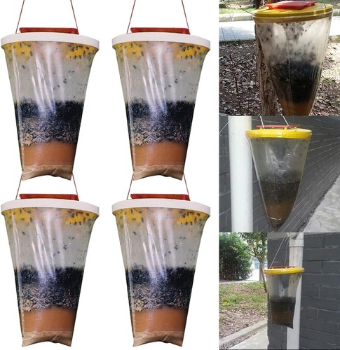 Pack red top fly traps - top,
