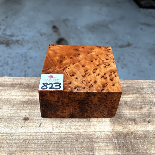 Thuya burr 4 x - x,