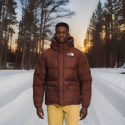 The north face men - the,