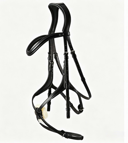 Arc grackle anatomical - bb,