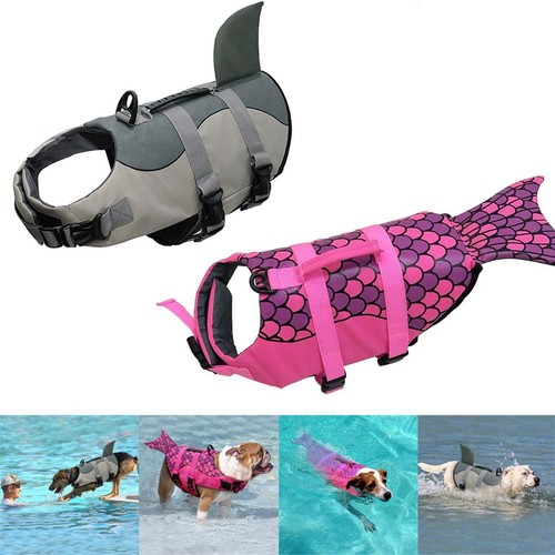 Mermaid shark dog life - mermaid,