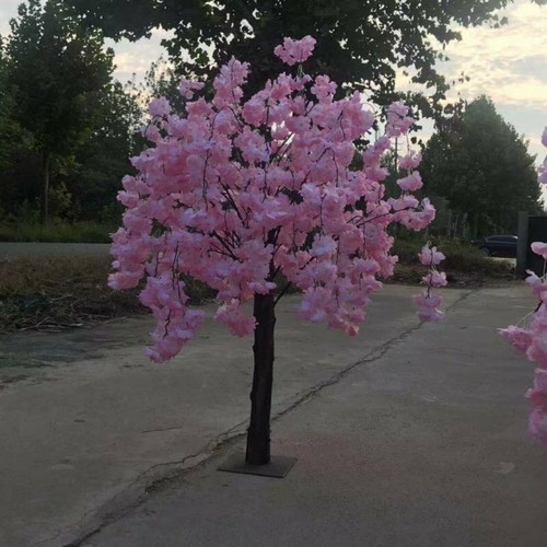 120cm pink wisteria cherry - 120cm,