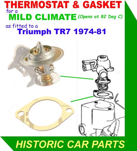 Thermostat gasket mild - thermostat, &
