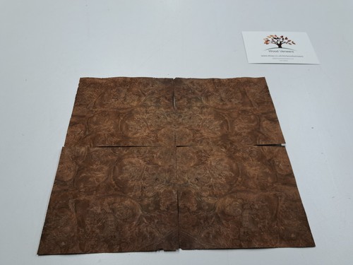 Burr walnut veneer - -, natural