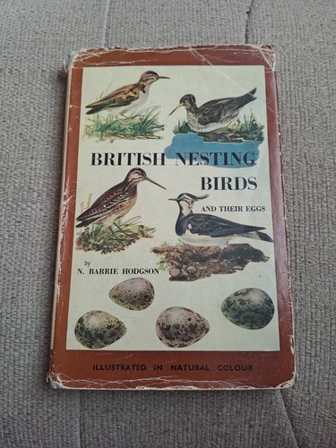 British nesting birds and - birds,