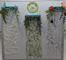 Jumping spider climbing ledge