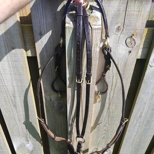Schockemohle breastplate with
