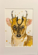 Original unique watercolour muntjac deer painting
