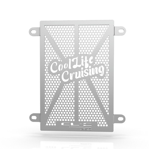 Motorcycle radiator guard - motorcycle,