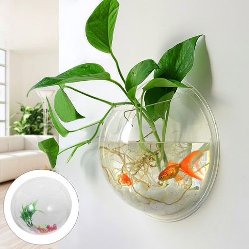 5cm diameter creative - 19.5cm,