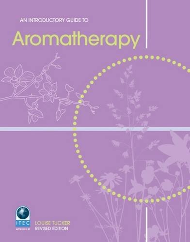 Introductory guide - introductory, to