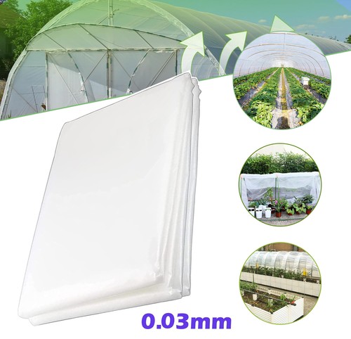 Polythene sheeting polytunnel - polythene, sheeting,polytunnel