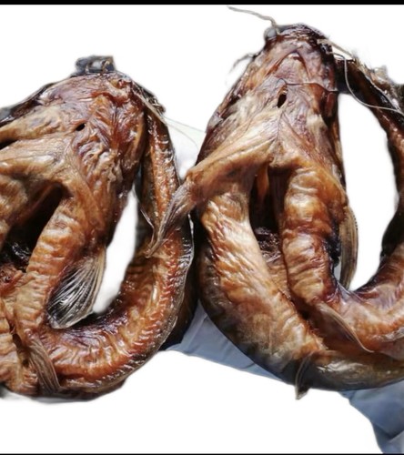 Freshly dried smoked - dried, nigerian