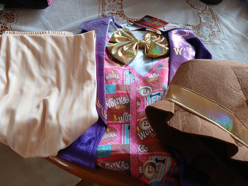 Roald dahl willy - dahl, costume