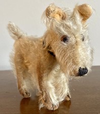 Prewar Rare Steiff ? White