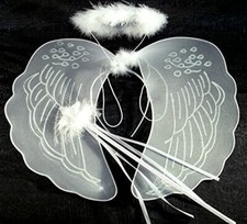Large Angel Wings, Wand and