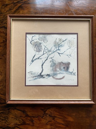 Small framed print dormouse - small,