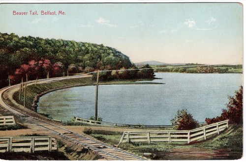 Vintage postcard beaver tail - vintage, postcard,