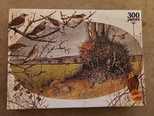 Vintage 1970's 300 Piece Wild