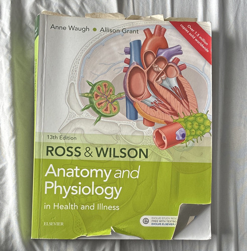 Elsevier ross wilson anatomy - wilson,