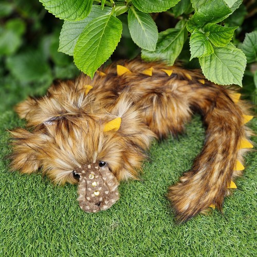 Gingersnap kaycee - gingersnap, (13)