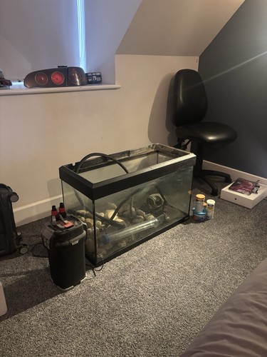 Fluval roma 125l white - fluval, cabinet