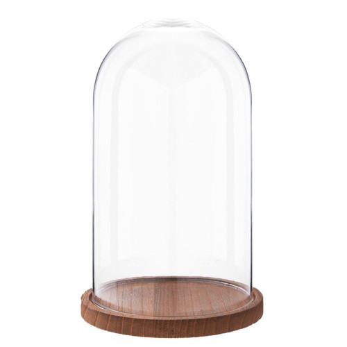 28cm glass display bell jar - bell,
