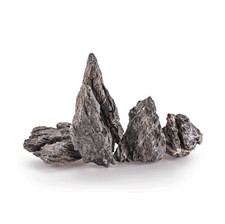 Aquarium Seiryu Rock Fish Tank