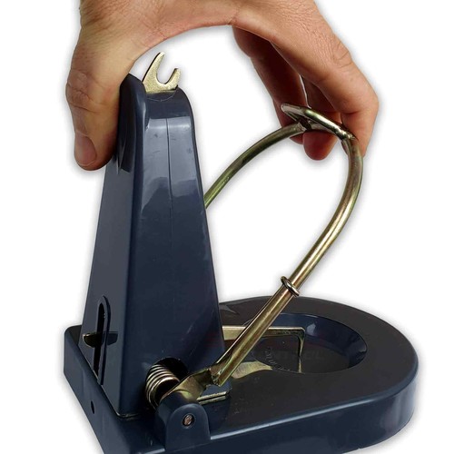 Black cat rat trap powerful - rat,