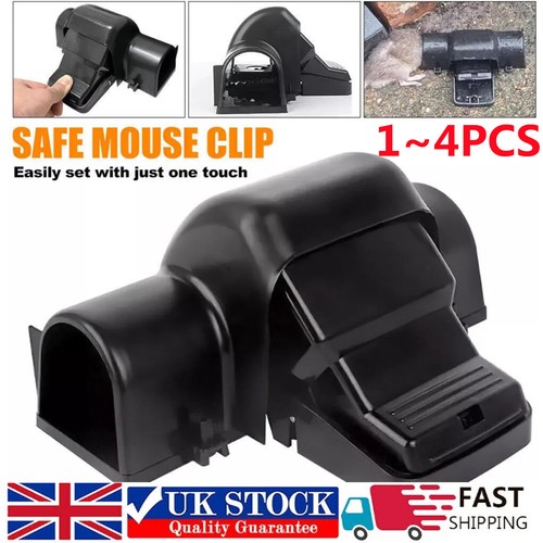 Rat traps that kill - rat,