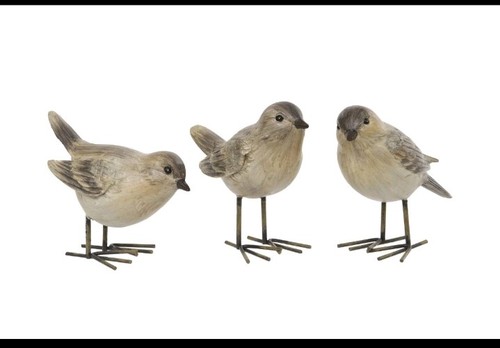 Finches bird ornament garden - finches,