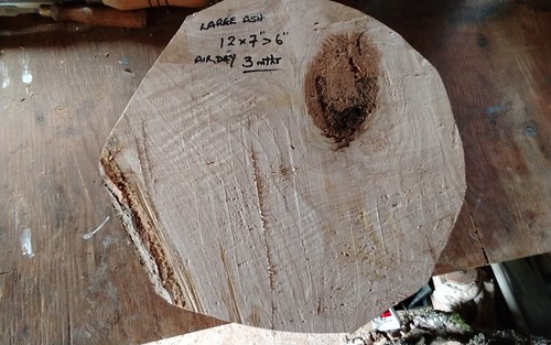 Large ash bowl blank - ash,