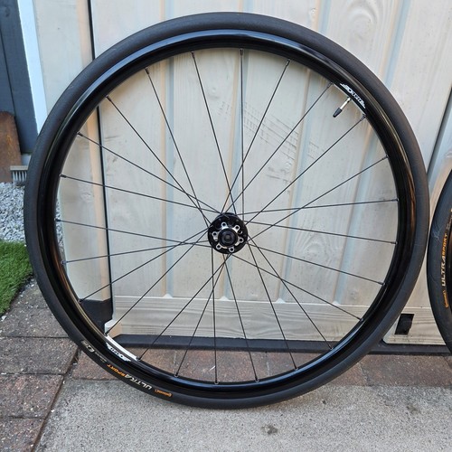 Halo whiteline road bike disc - whiteline,