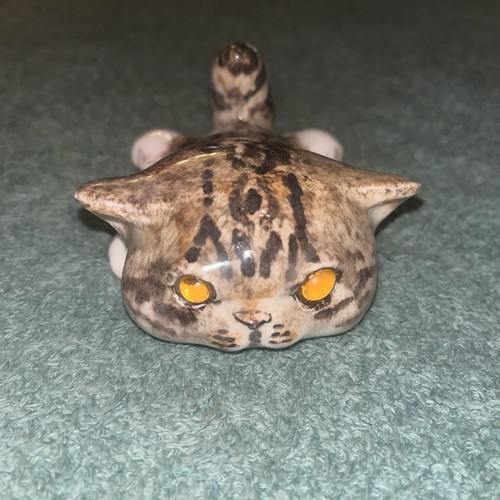 Winstanley tabby squashed - winstanley,
